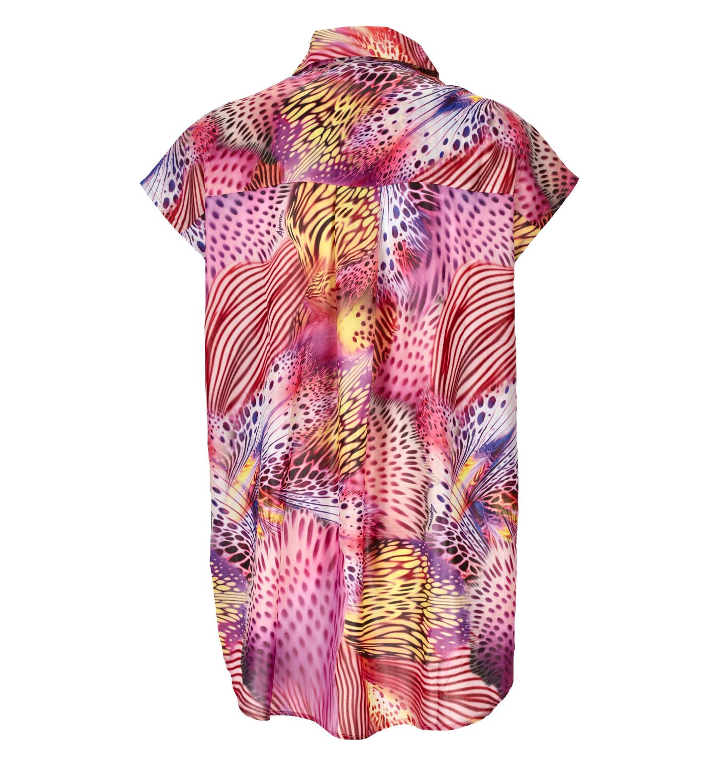 Camicia over butterfly