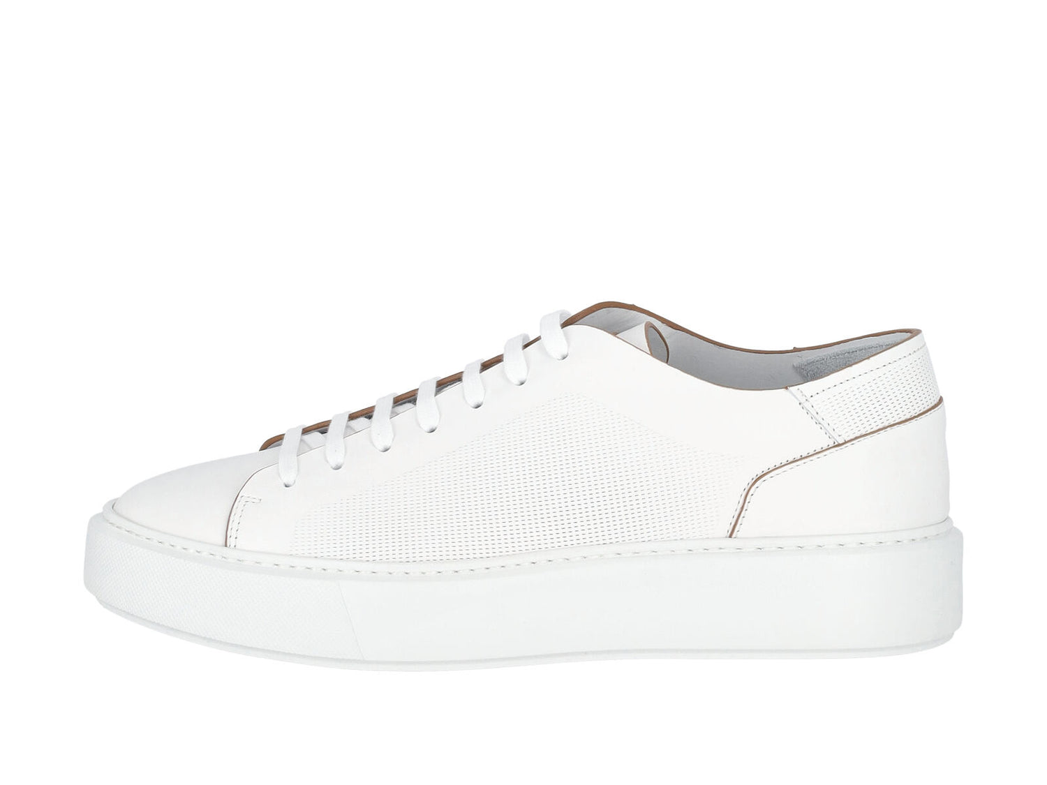 Sneakers Rise