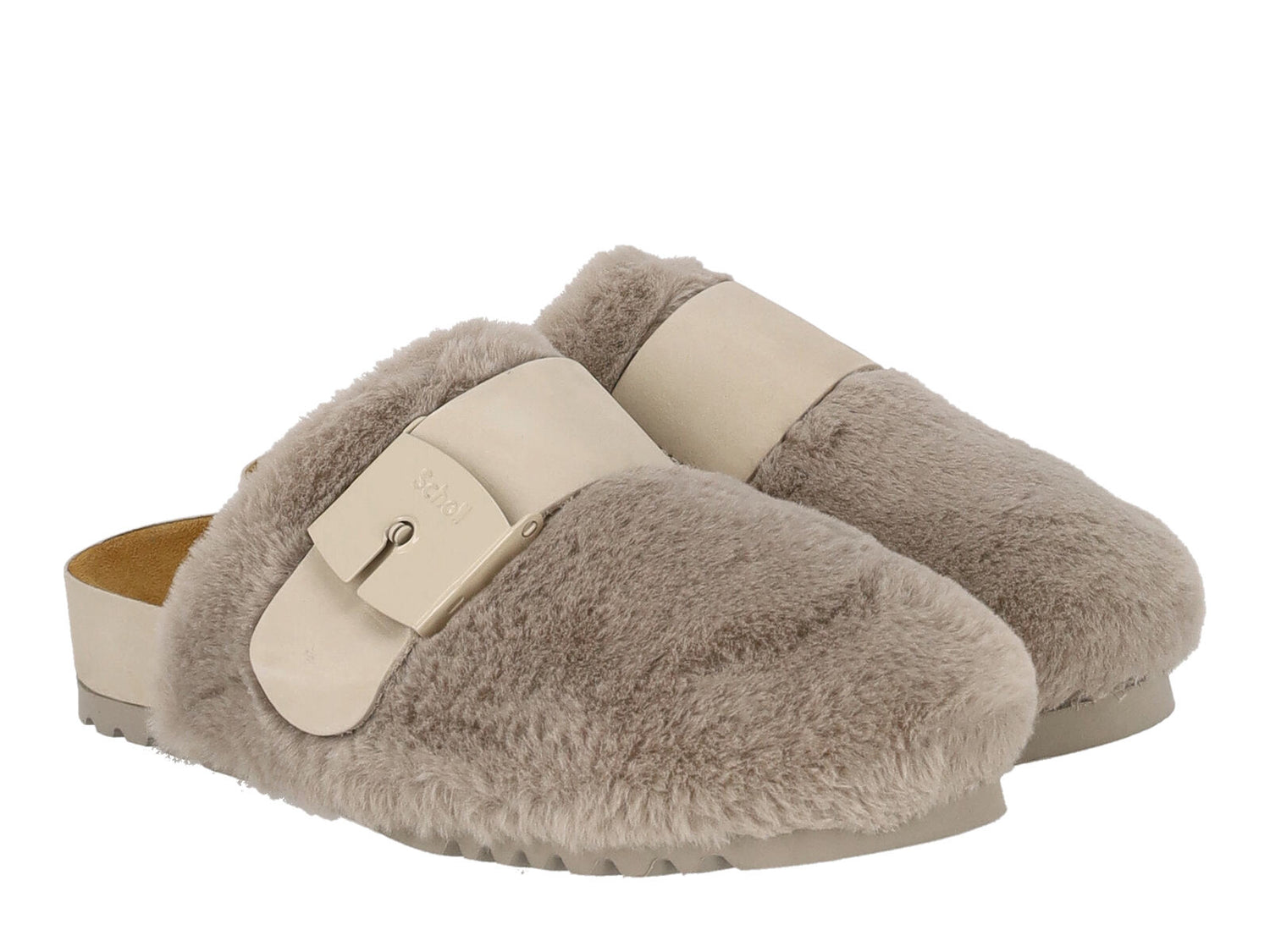 Sabot Alaska